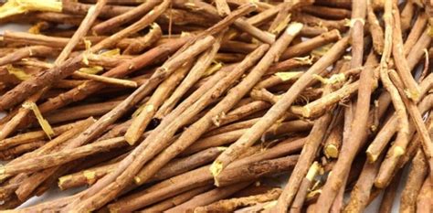 Chinese licorice root contains many beneficial substances, like glycyrrhizin, plant sterols, glycosides, flavonoids, vitamins and minerals. What herb tastes like licorice? - ProProfs Discuss