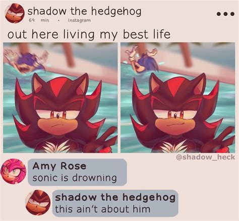 He Purposely Pushed Sonic Into The Pool Just To Post This 🦀🦀sonic Is