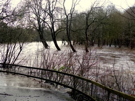 Trees Immersed In The Flooded River © Kenneth Allen Cc By Sa20