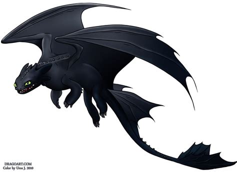 How To Train Your Dragon Toothless How Train Your Dragon Dragon