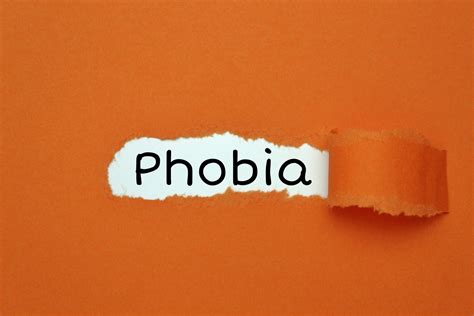 Funny Phobias With The Most Inappropriate And Outrageous Titles Amnesty