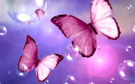 Free Download Beautiful Pink Butterfly Wallpaper Pink Flower Wallpapers