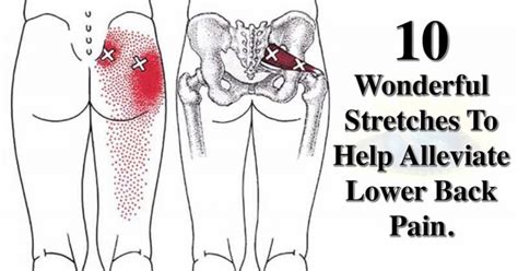 The muscles affected in lower crossed syndrome include muscles that attach from the lumbar spine to the pelvis tightness of the hip flexors and lumbar erector spinae along with weakness or inhibition of the gluteal and abdominal muscles creates a postural imbalance in the lower back and hips. 10 Wonderful Piriformis Stretches To Help You Get Rid of Sciatica, Hip & Lower Back Pain