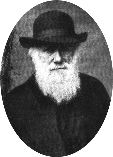 Charles Darwin Charles Darwins Theory Transparent Png Original