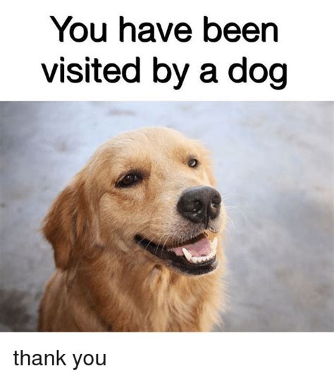 You Have Been Visited By A Dog Thank You Meme On Meme