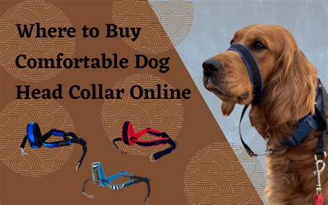 Where To Buy Comfortable Dog Head Collar Online Udogheadcollar