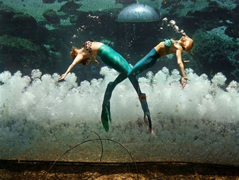 This Is What Real Life Mermaids Look Like The New York Times