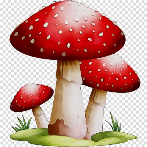 Clipart Mushroom 20 Free Cliparts Download Images On Clipground 2024