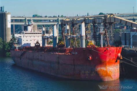 Hai Jin Bulk Carrier Details And Current Position Imo 9617674