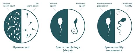 cociane in sperm telegraph