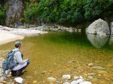 Fly Fishing In New Zealand Fly Odyssey Blog