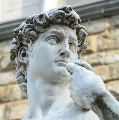 Statue Of David By Michelangelo On The Piazza Della Signoria Photograph