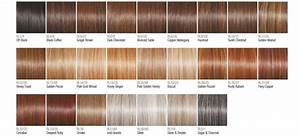 Raquel Welch Wig Colors Color Charts La Wig Company
