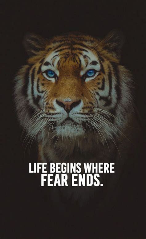 Pin By Nizar Fahmi On Tiger Quotes Fear Quotes Tiger Quotes