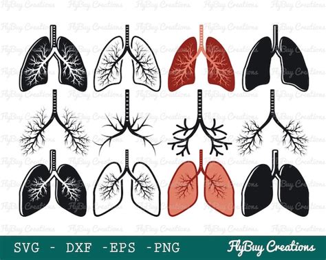 Human Lung Svg Lungs Svg Respiratory System Svg Etsy