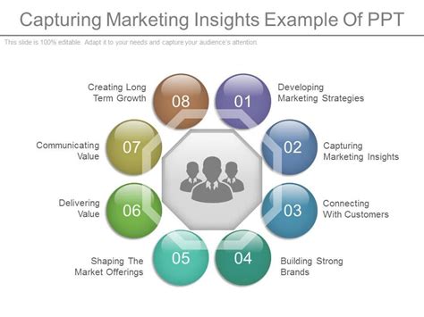 Capturing Marketing Insights Example Of Ppt Presentation Powerpoint