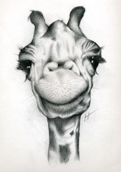 Latest pencil drawings addition on our drawing sketches page. 111 Fun and Cool Things to Draw Right Now | Pencil drawings of animals, Giraffe art, Cool drawings