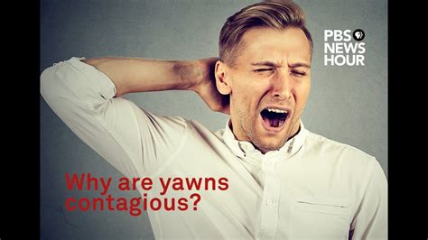 Why Are Yawns Contagious We Asked A Scientist Youtube