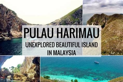 Pulau Harimau Johor Paradise Island You Should Totally Visit