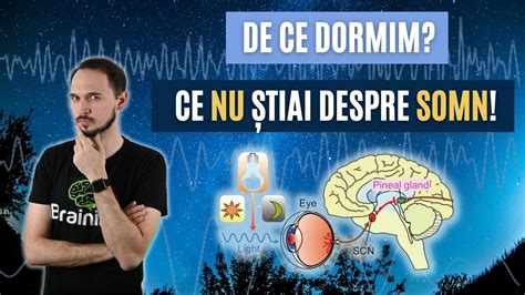 De Ce Dormim Cât Poți Rezista FĂrĂ Somn Top 10 Chestii Tari Despre