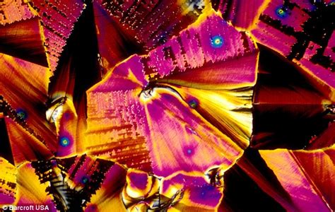 Check spelling or type a new query. Images of alcoholic drinks under the microscope from vodka ...