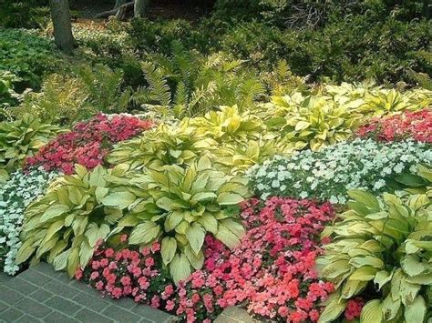 99 Inspiring Planting Combination Ideas For Your Garden Hosta Gardens