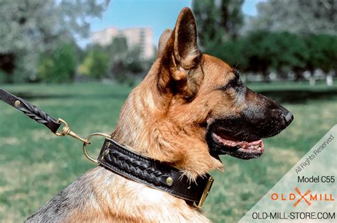 German Shepherd Leather Dog Collar With Braids And Fur Etsy