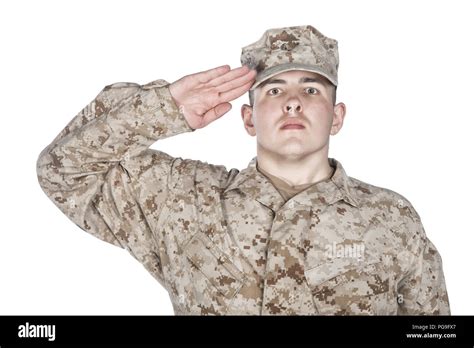 Soldier Saluting Hi Res Stock Photography And Images Alamy