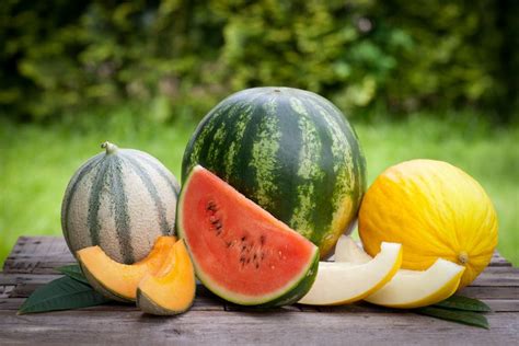 How To Pick A Ripe Melon Every Time