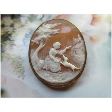 Antique Victorian Carved Shell Scenic Cameo Brooch Dog Ruby Lane