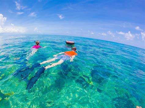 Best Beach Snorkeling In Florida Keys Florida Keys Snorkeling Spots
