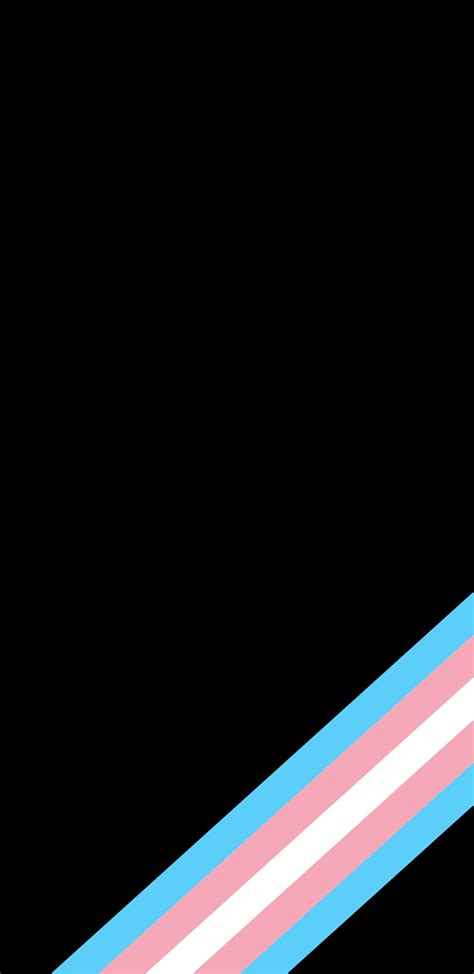 1920x1080px 1080p Free Download Transgender Pride Flag Transgender