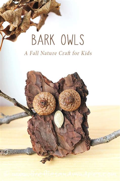 How To Make Bark Owls Owl Crafts Nature Crafts Crafts
