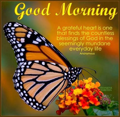Good Morning Grateful Heart Pictures Photos And Images For Facebook