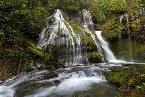Panther Creek In Gifford Pinchot National Forest Photograph By Jit Lim