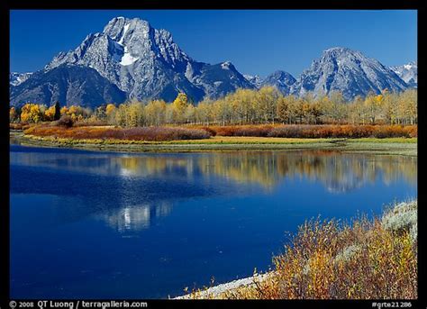 Picturephoto Mt Moran Reflected In Oxbow Bend In Autumn Grand Teton