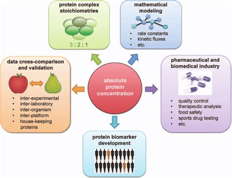 1 Fields Of Application For Absolute Quantitative Protein Data