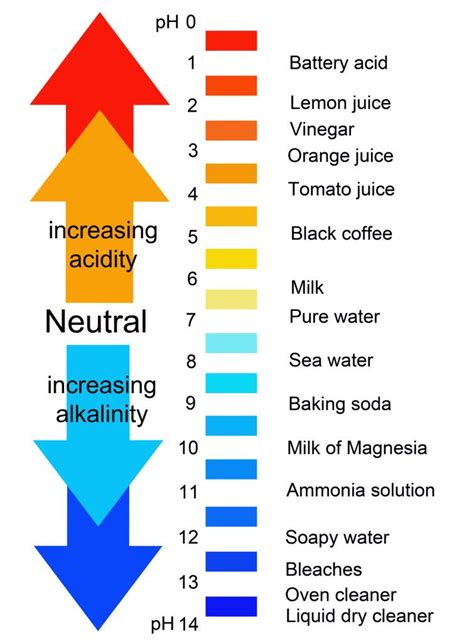 a chart that compares acids and bases