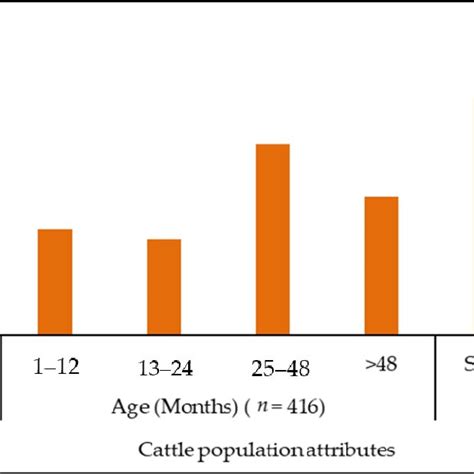The Study Cattle Population Structure By Sex Age And Herd Size Nb