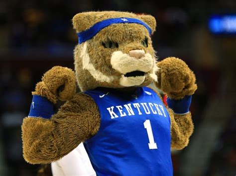 This Is The Uk Mascot He Is A Figurehead Of The Student Population He