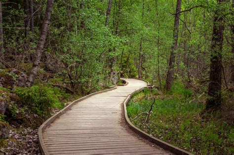 Wooden Path In Forest Hoodoo Wallpaper