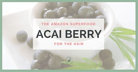 Acai Berry Benefits The Amazon Superfood For The Hair Simply Organics
