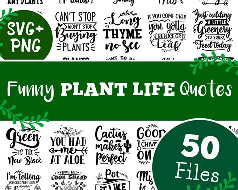 50 Funny Plant Life Quotes And Sayings Etsy Ireland