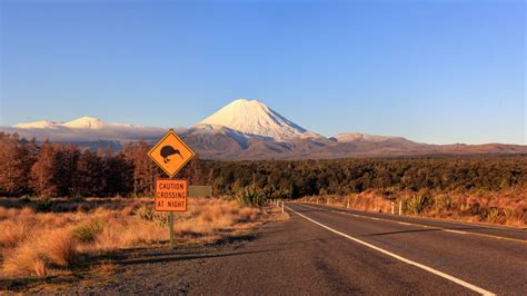 Road Trip New Zealand 8 Of The Best Routes Rough Guides