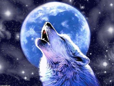 Here you can find the best animated wolf wallpapers uploaded by our community. Anime Wolf Howling At The Moon Wallpapers - Wolf ...