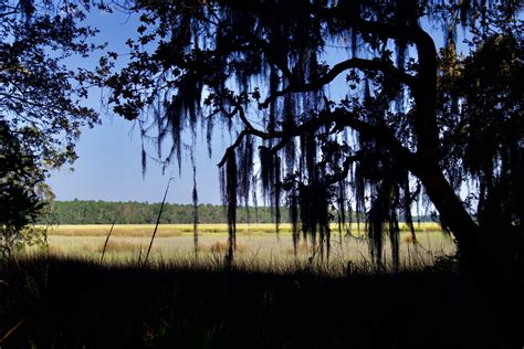 Mackay Point Road, Yemassee, SC 29945 | LandWatch