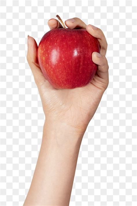 Hand Holding A Red Apple Png