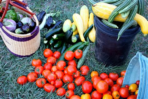 Fall Harvest Flickr Photo Sharing