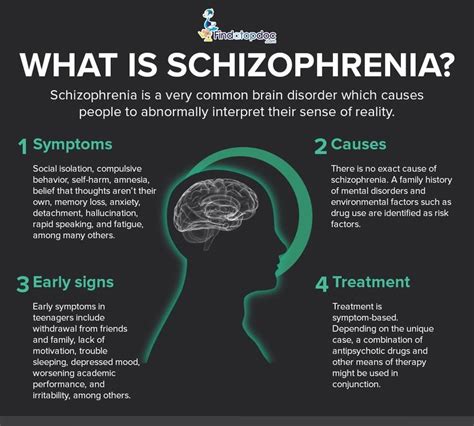 Schizophrenia 是什么 Theormos