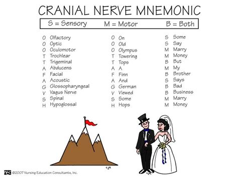 17 Best images about Med Surg Mnemonics & More on Pinterest | Otitis